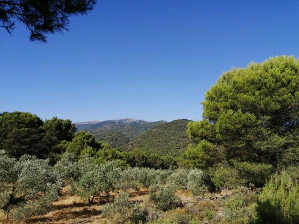 Terreno en carretera A-366 s/n