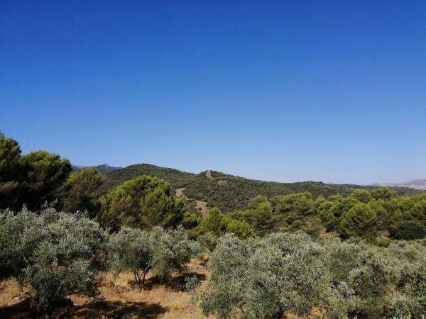 Terreno en carretera A-366 s/n