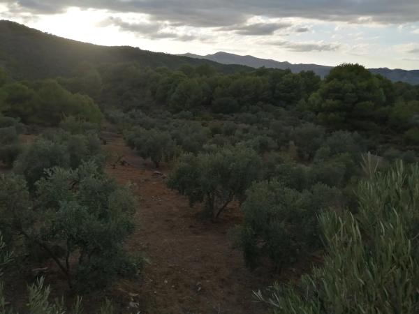 Terreno en carretera A-366 s/n