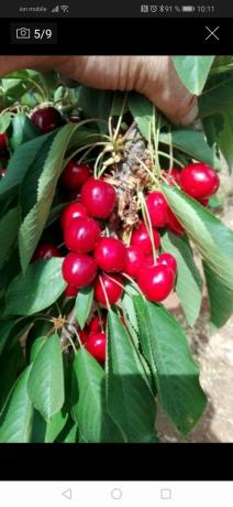 Terreno en carretera A-366 s/n