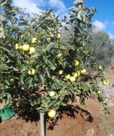Terreno en carretera A-366 s/n