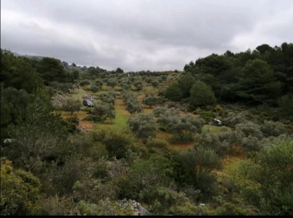 Terreno en carretera A-366 s/n