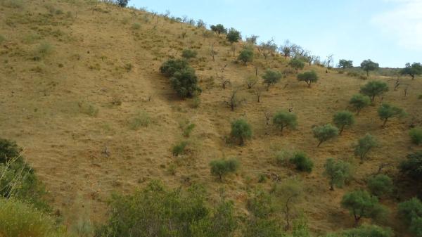Terreno en Diseminado Poligono 9, 601