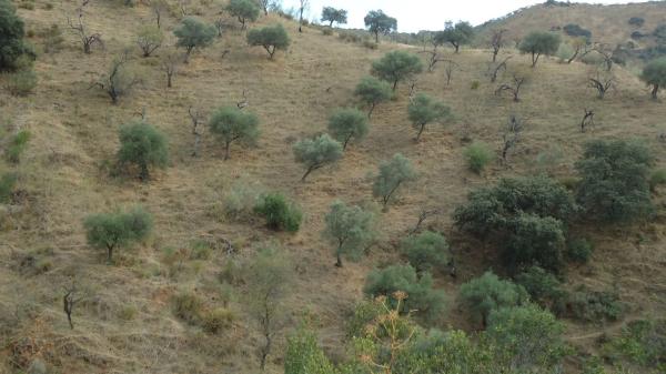 Terreno en Diseminado Poligono 9, 601