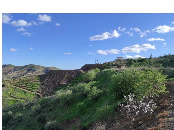 Terreno en Diseminado Diseminados, 115