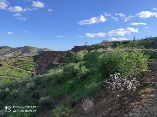 Terreno en Diseminado Diseminados, 115