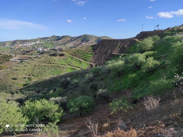 Terreno en Diseminado Diseminados, 115