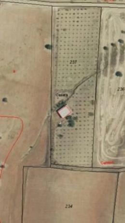 Terreno en cuesta del Palmar, 288