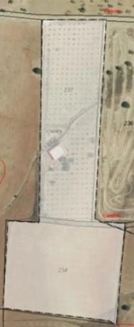 Terreno en cuesta del Palmar, 288