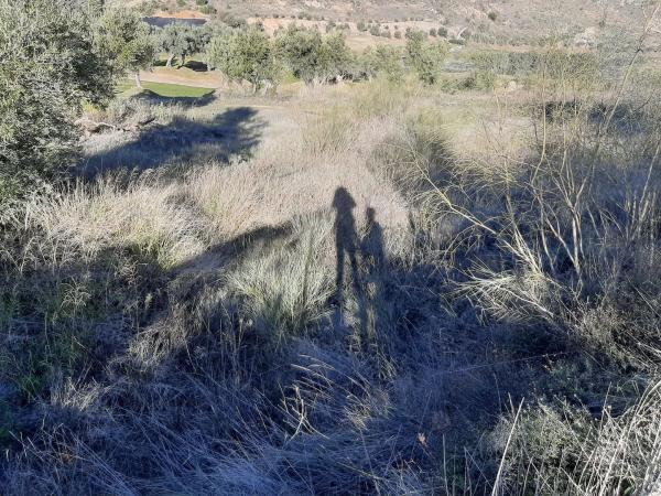 Terreno en Arrabal Urb Antequera Golf, 255