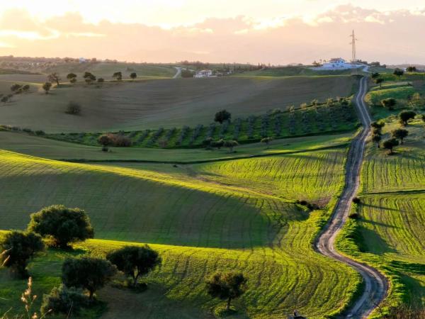 Terreno en cuesta del Palmar, 288