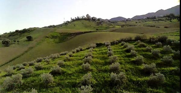 Terreno en cuesta del Palmar, 288