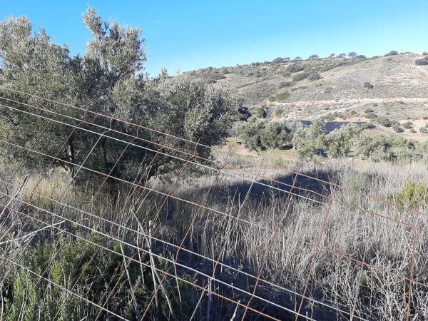 Terreno en Arrabal Urb Antequera Golf, 255