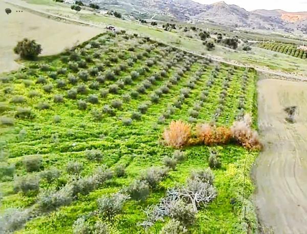 Terreno en cuesta del Palmar, 288