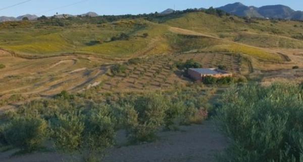 Terreno en cuesta del Palmar, 288