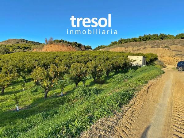 Terreno en Jardines de Alhaurín-Huerta Alta-Fuensanguínea