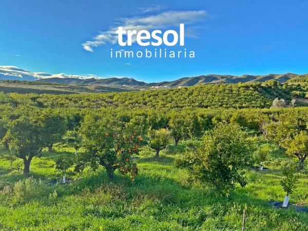 Terreno en Jardines de Alhaurín-Huerta Alta-Fuensanguínea