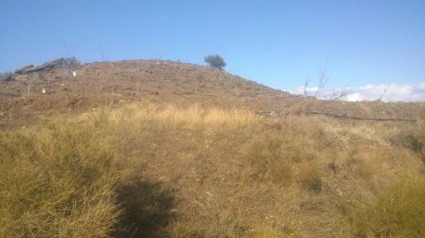 Terreno en velez malaga s/n