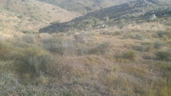 Terreno en velez malaga s/n