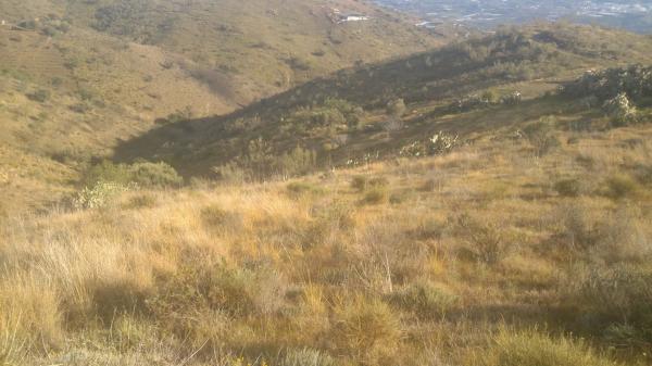 Terreno en velez malaga s/n