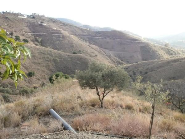 Terreno en Canillas de Aceituno