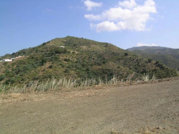 Terreno en Comares