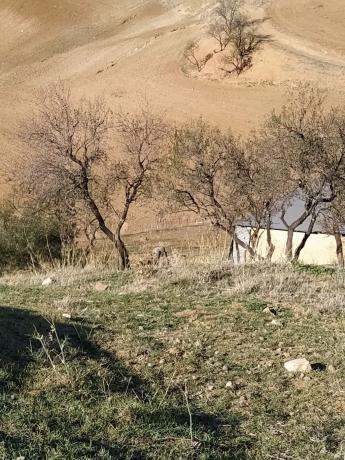 Terreno en carretera El Burgo s/n