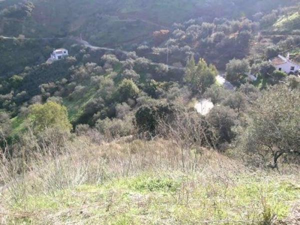Terreno en Comares