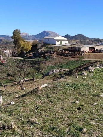 Terreno en carretera El Burgo s/n