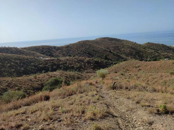 Terreno en carretera de Chilches