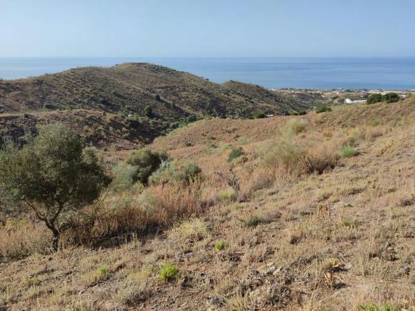 Terreno en carretera de Chilches