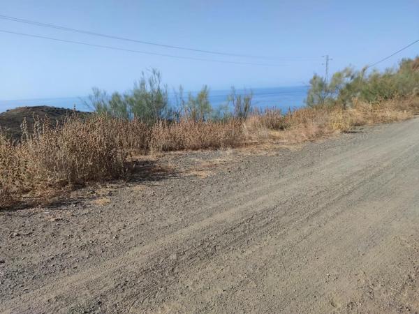 Terreno en carretera de Chilches