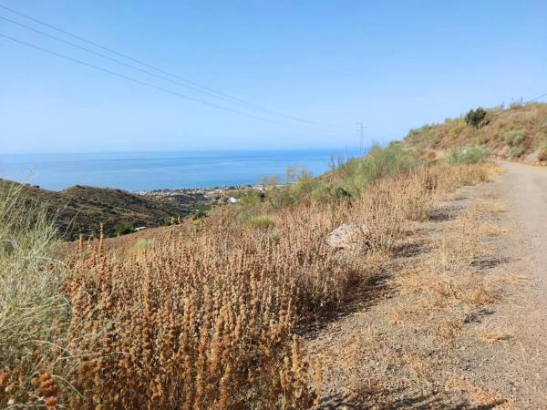 Terreno en carretera de Chilches