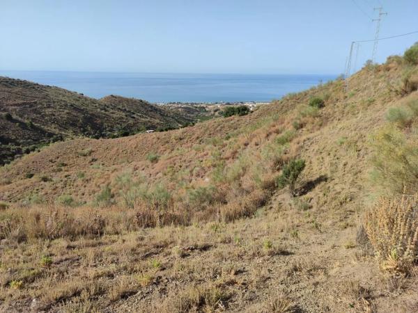 Terreno en carretera de Chilches