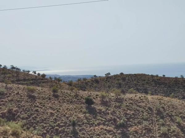 Terreno en carretera de Chilches