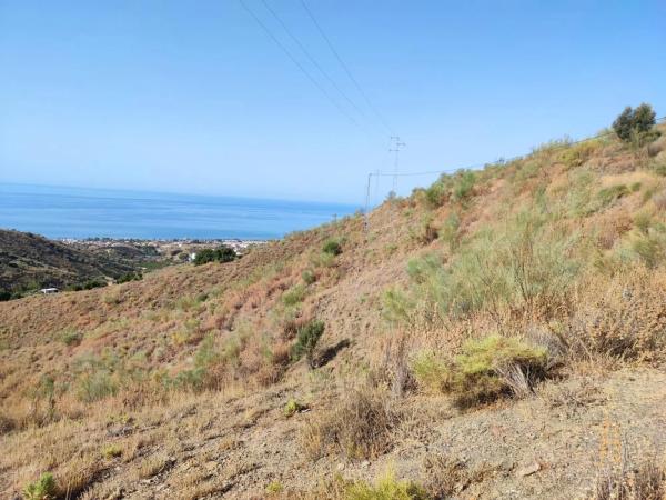 Terreno en carretera de Chilches