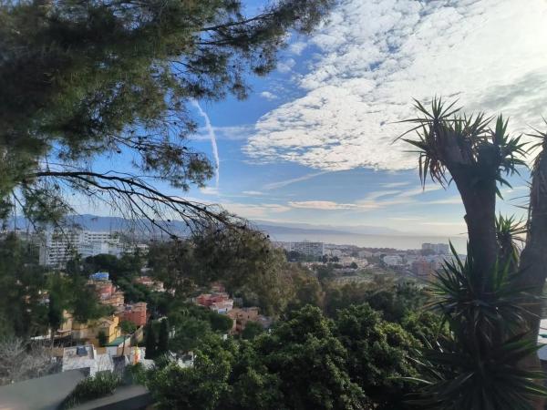 Terreno en alto del Pinar