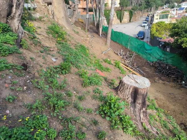 Terreno en alto del Pinar