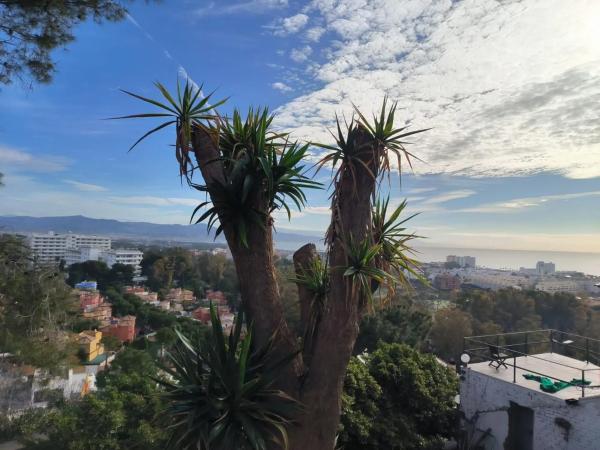 Terreno en alto del Pinar