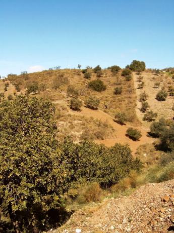 Terreno en Rustico s/n sn