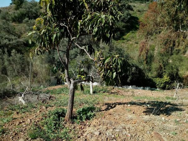 Terreno en Diseminado Diseminados, 285 d