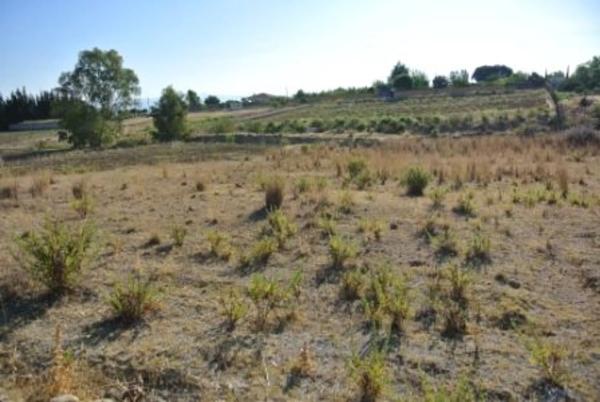 Terreno en La Alquería