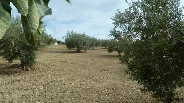 Terreno en camino callejon s/n