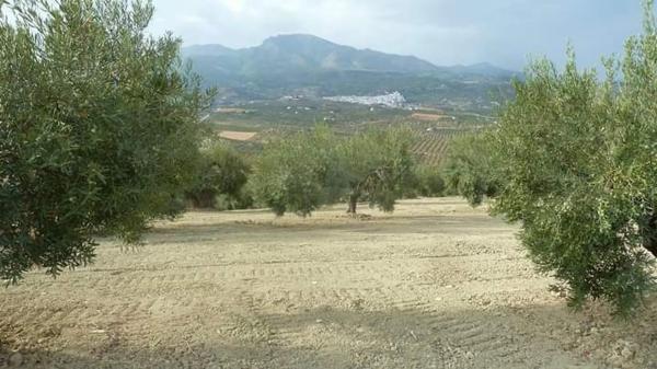 Terreno en camino callejon s/n