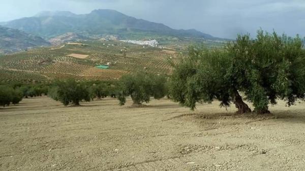 Terreno en camino callejon s/n