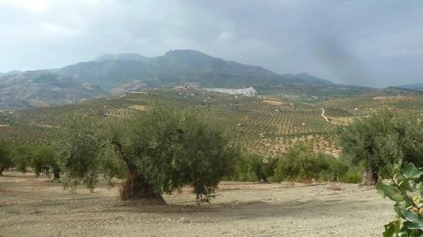 Terreno en camino callejon s/n