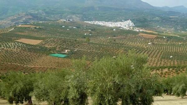 Terreno en camino callejon s/n