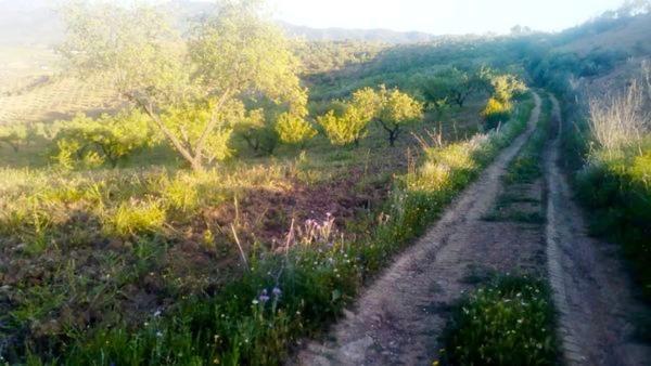 Terreno en camino al Cortijo de Los Frailes s/n Caminocortijolosfrailes