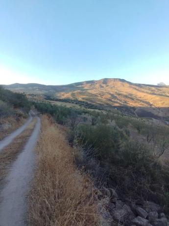 Terreno en camino al Cortijo de Los Frailes s/n Caminocortijolosfrailes