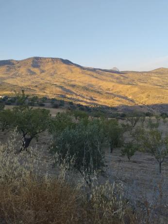 Terreno en camino al Cortijo de Los Frailes s/n Caminocortijolosfrailes